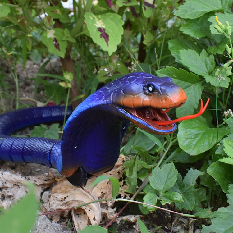 Blue and orange cobra toy head with red tongue among green leaves