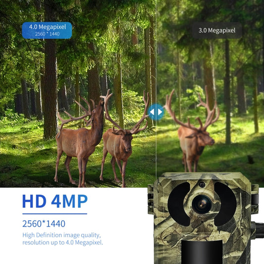 Camouflaged solar wildlife camera with 4MP HD lens