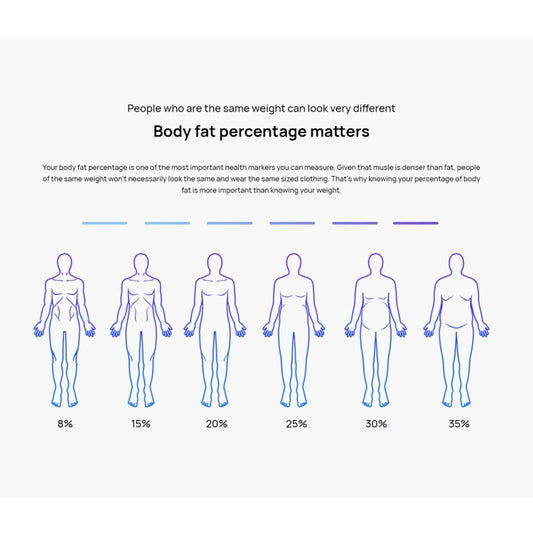 Body fat percentage chart infographic with body outlines and purple percentage markers.