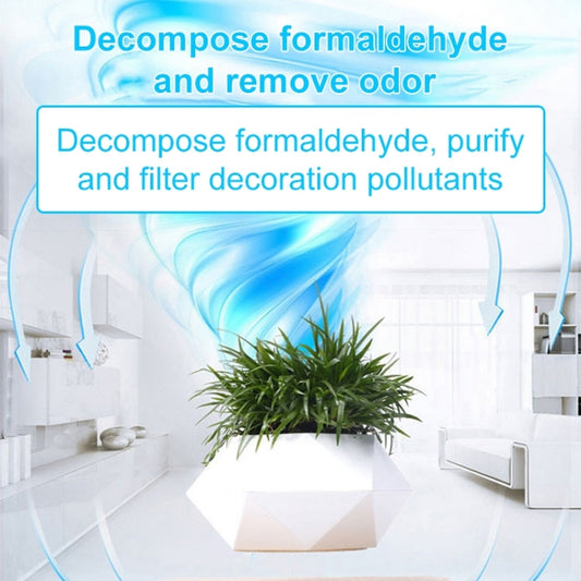 Magnetic levitation planter air-purifying graphic with blue spiral airflow design