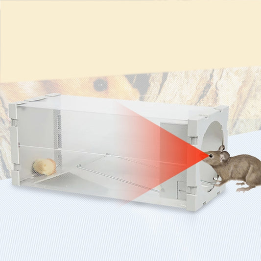 Humane live trap cage for small rodents, clear tunnel trap with mouse inside