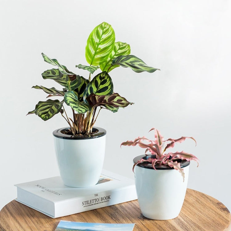 Set of 2 white double-layer self-watering hydroponic plant pots, round resin planters