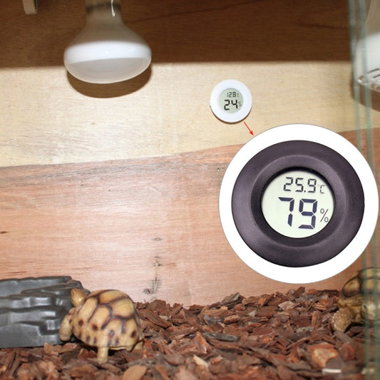 Round digital thermometer hygrometer with screen reading 25.8°C and 19% humidity