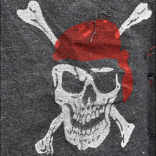 Pirate skull banner close-up with red bandana, white skull-and-crossbones on dark fabric