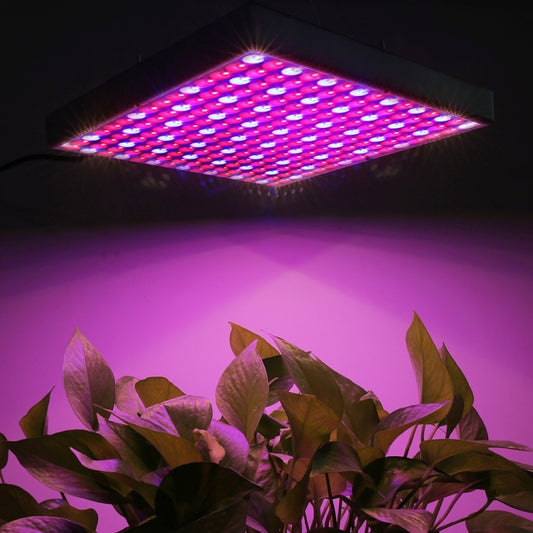 LED greenhouse grow light panel with pink and blue LEDs on