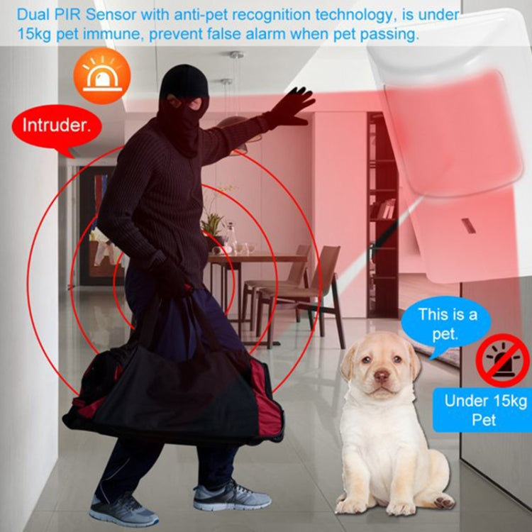 PIR motion detector alarm highlighted on wall in a pet and motion detection scene