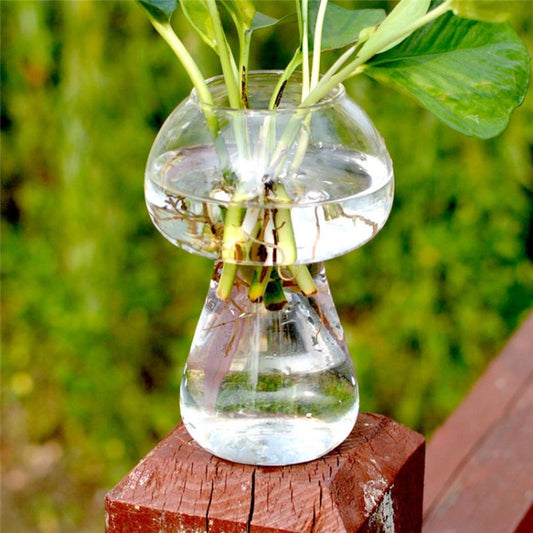Clear mushroom-shaped glass terrarium bottle with wide top opening and visible stems