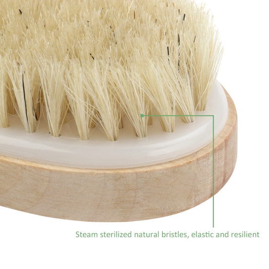Close-up natural bristle body brush head with wooden rim and beige strap
