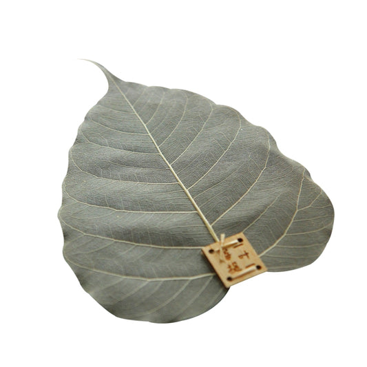 Bodhi leaf-shaped tea infuser filter with wooden label and stem cord