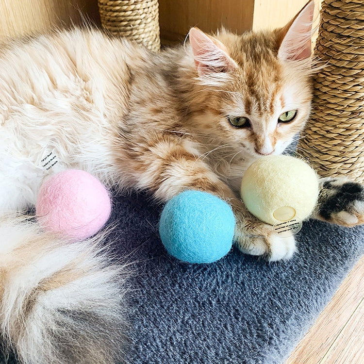 EVA cat toy vocal balls in pink, blue, and yellow shown with a kitten