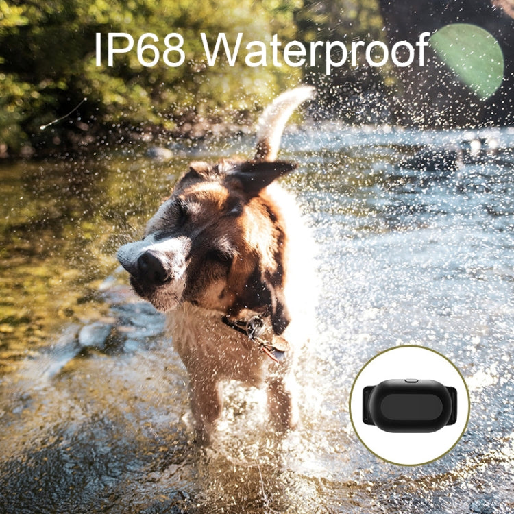Waterproof dog training receiver collar shown in splashing water outdoors