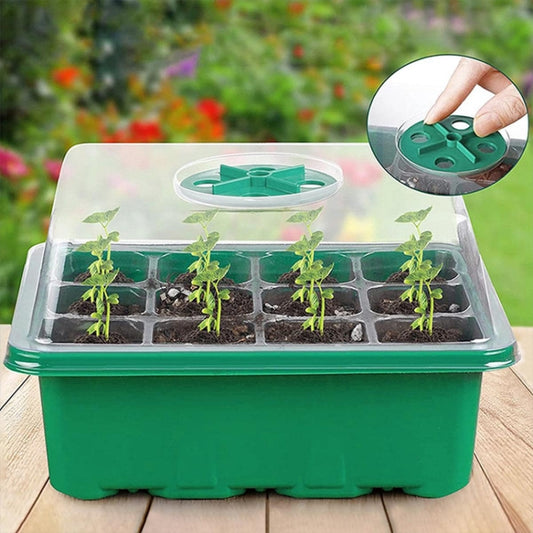 Green 12-hole seedling box with clear ventilated cover and planting openings