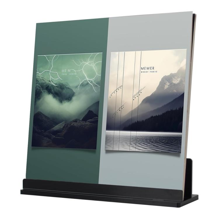 Black acrylic record display rack holding two vinyl album covers