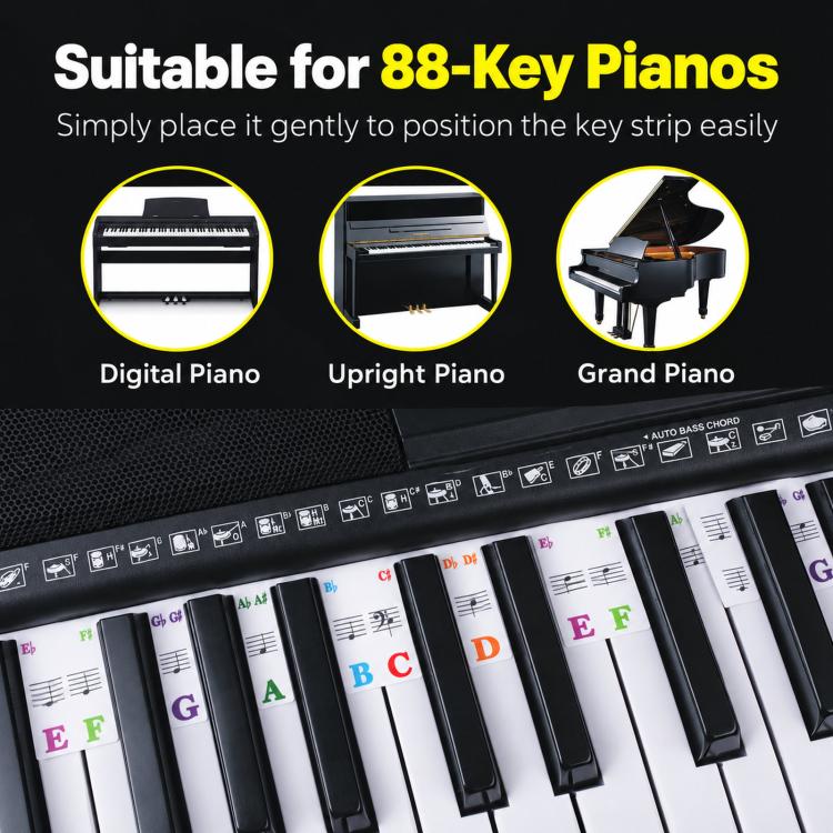Piano Key Notes Guide 88Keys Removable Piano Notes Label, 88 Keys/Box