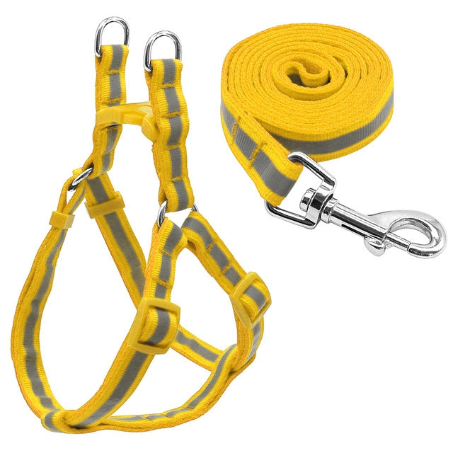 Yellow reflective nylon dog leash set with metal clips and adjustable straps (S)