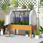 Raised garden bed planter with white mesh greenhouse cover and herbs growing inside