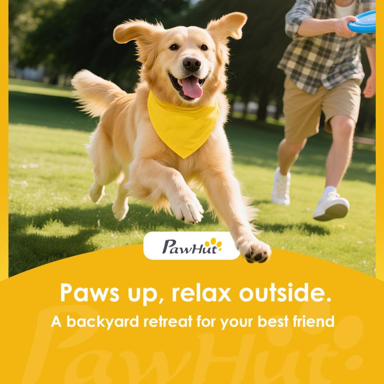 Golden retriever wearing a yellow bandana outdoors, playful pose