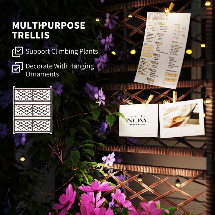 Brown trellis planter for climbing plants with lattice trellis panel and top planter box