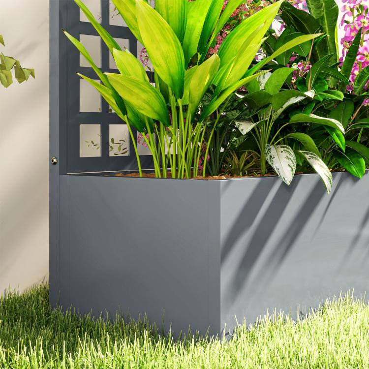 Gray raised garden bed planter box with trellis and leafy climbing plants