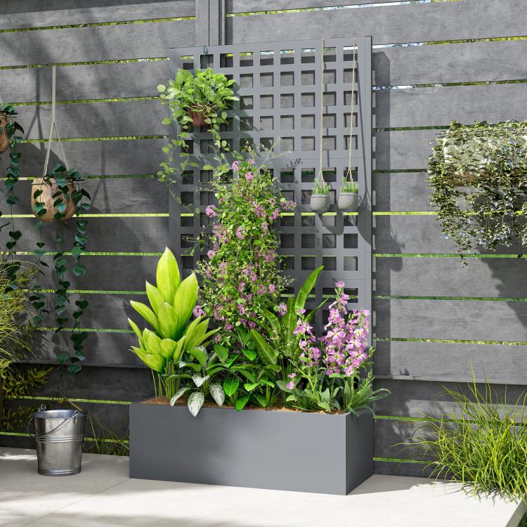 Gray raised planter box with tall trellis grid and mixed climbing plants