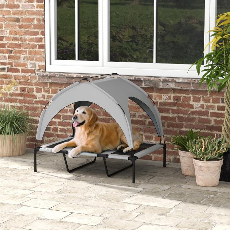 Elevated canopy dog bed with gray cover and black mesh, dog resting on cot surface