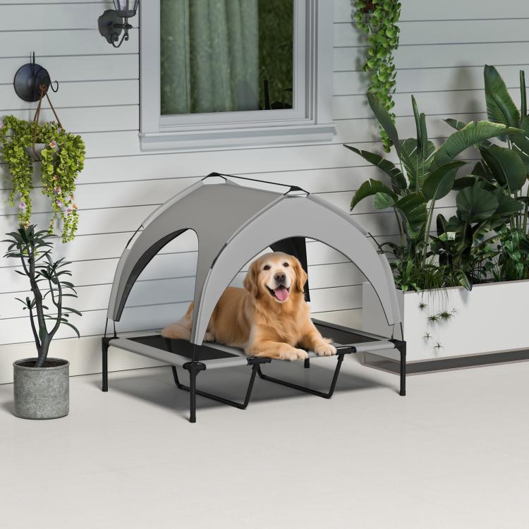 Canopy raised dog bed with gray frame and black mesh, dog sitting in shaded shelter