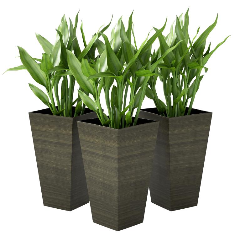 Three tall dark brown wood-look plastic planters with green grass plants