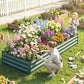 Green raised garden bed with dense colorful flower border along the side