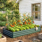 Green raised garden bed beside a house, filled with tomato vines and leafy greens