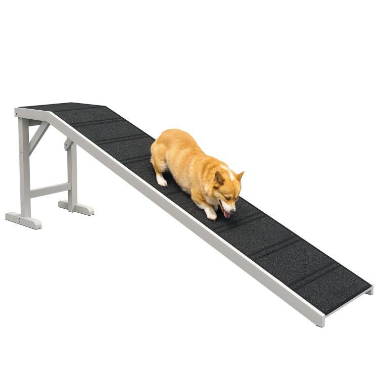 Foldable dog ramp with dark non-slip carpet top and white support frame, used by a dog