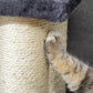 Cat paw scratching cream sisal rope on a wrapped cat-tower post
