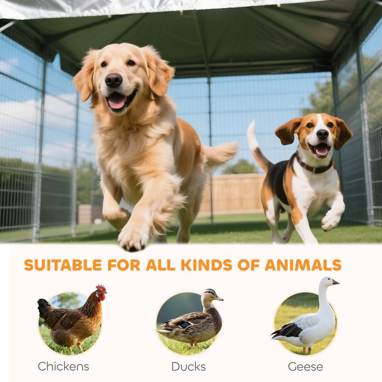 Outdoor dog kennel with roof, wire playpen enclosure with two dogs inside