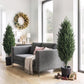 Two 4ft faux cedar trees with green tips in black textured pots by a sofa