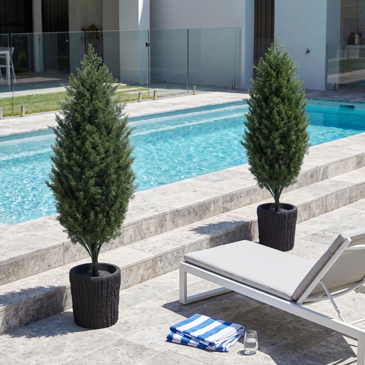 Two faux cedar mini trees in black textured pots near a swimming pool