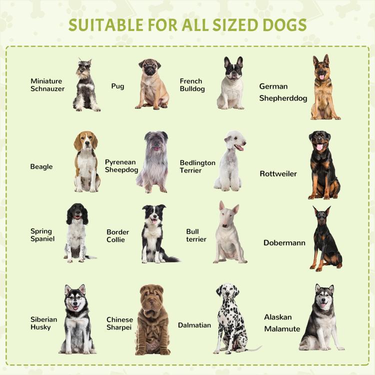 Dog shelter size guide infographic with dog breed silhouettes arranged in rows