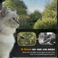 Cat beside fine mesh screen on gray outdoor enclosure, close-up side view