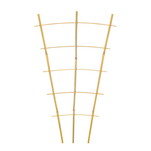 Natural bamboo garden trellis with arched ladder frame for climbing plants