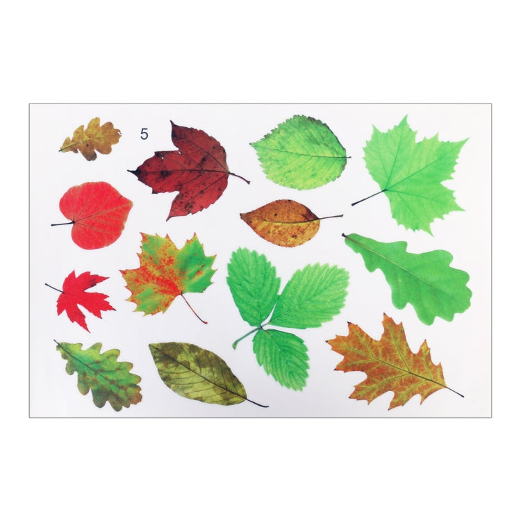 Sheet of colorful 3D leaf decals with self-adhesive backing for car or surfaces