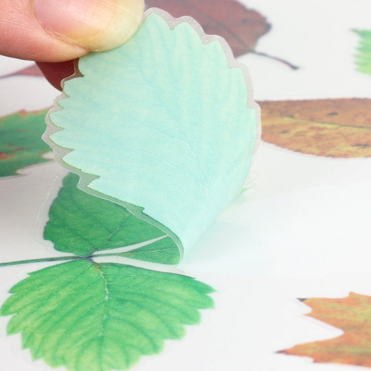 Close-up of a hand holding a translucent blue 3D leaf sticker