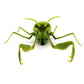 Green simulated praying mantis electric toy front view, spread arms and legs