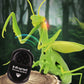 Green mantis toy with light accents and black infrared remote controller