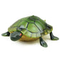 Green and yellow plastic tortoise toy with raised shell details and four legs.