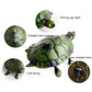 Green tortoise toy with labeled feature callouts: shining eye, detailed texture, tires.