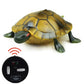 Green infrared tortoise toy with red IR signal icon and infrared controller below.