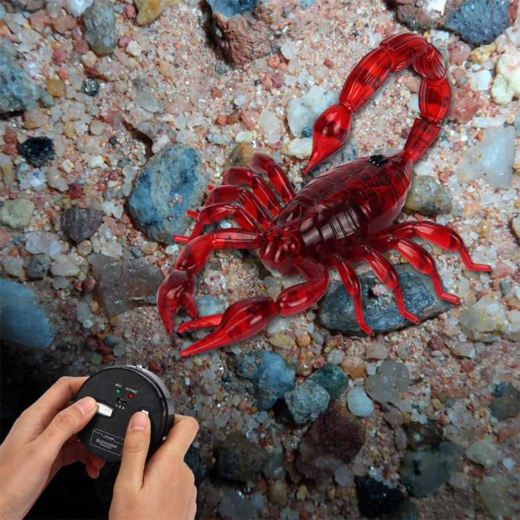 Red scorpion toy next to infrared remote controller on rocks