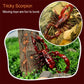Red scorpion moving toy on outdoor ground