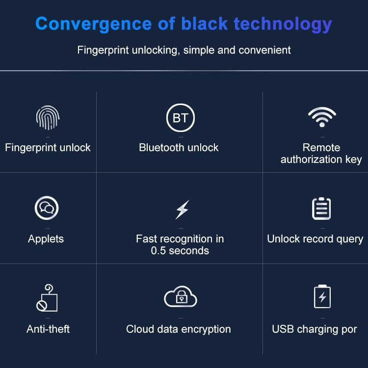 Smart lock feature infographic with fingerprint, Bluetooth, applet, and USB icons