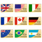 Assorted rectangular VIP owners metal stickers with gold borders and flag designs