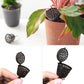 Dark perforated bonsai fertilizer dispenser with round cover, shown in hand