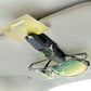 Vehicle mounted glasses clip with black carbon-fiber strap holding eyeglasses